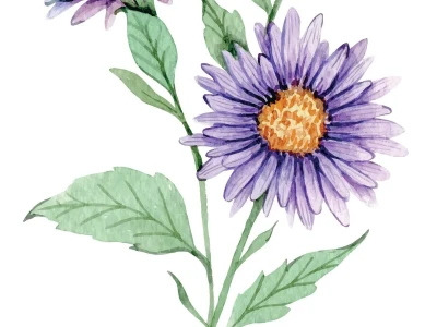 Aster Listing Roadmap: Coinbase's New Bet and What It Means