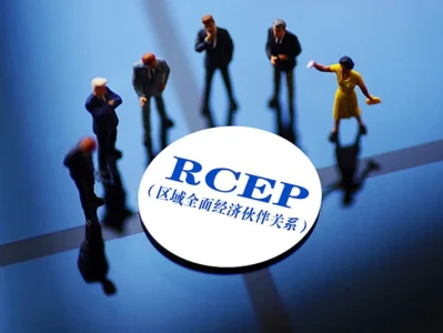 rcep: What is it?